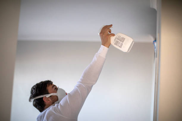 Best Residential Mold Removal  in Home Garden, CA