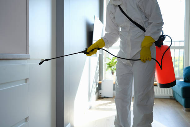 Best Professional Mold Removal  in Home Garden, CA