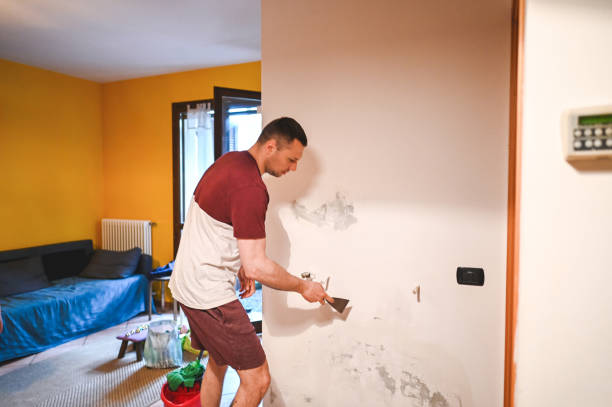 Best Affordable Mold Removal  in Home Garden, CA